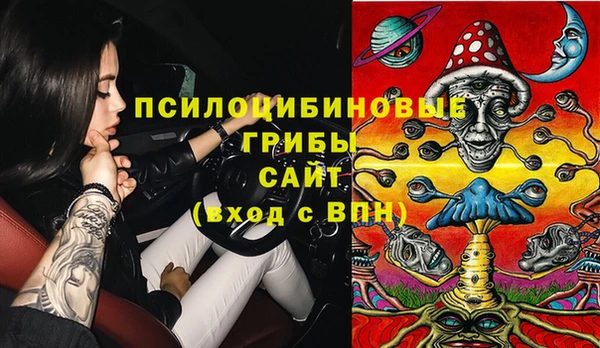 гашик Армянск