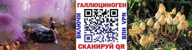 Галлюциногенные грибы MAGIC MUSHROOMS МЕГА ONION Оленегорск